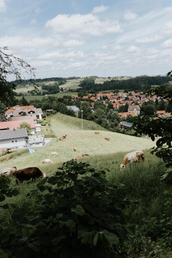 Ferienwohnung Alpenblick I Kamin I Private Sauna Ванген-им-Альгой Экстерьер фото